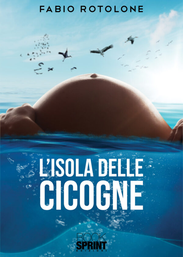 Libro L’isola delle cicogne di Fabio Rotolone - ean 9788824945547 - BooksprintEdizioni