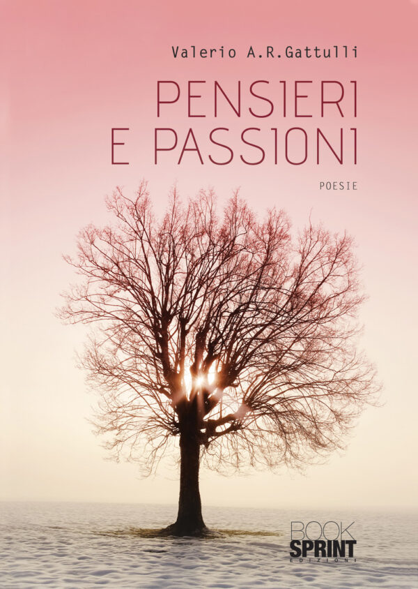 Libro Pensieri e passioni di Valerio A. R. Gattulli - ean 9788824946834 - BooksprintEdizioni