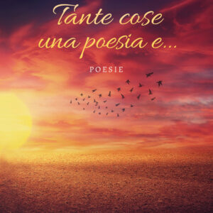 Libro Tante cose una poesia e… di Domenico Parillo - ean 9788824947008 - BooksprintEdizioni