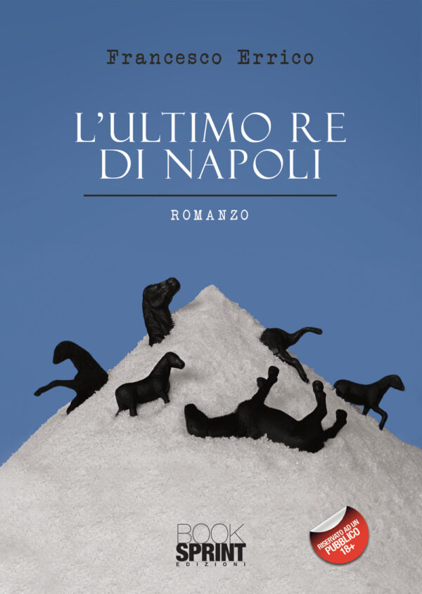 Libro ultimo re di Napoli di Francesco Errico - ean 9788824948128 - BooksprintEdizioni