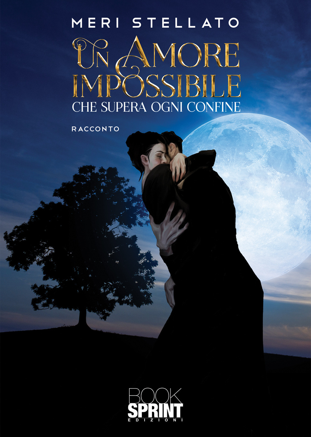 Libro amore impossibile che supera ogni confine di Meri Stellato - ean 9788824948760 - BooksprintEdizioni