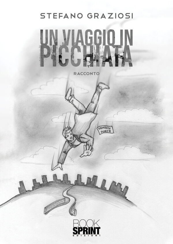 Libro viaggio in picchiata di Stefano Graziosi - ean 9788824949804 - BooksprintEdizioni
