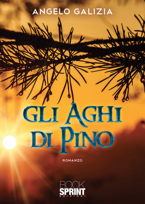 Libro aghi di pino di Angelo Galizia - ean 9788824950312 - BooksprintEdizioni