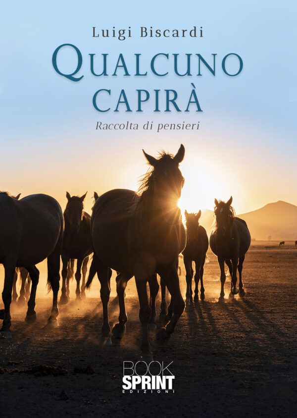 Libro Qualcuno capirà di Luigi Biscardi - ean 9788824951333 - BooksprintEdizioni