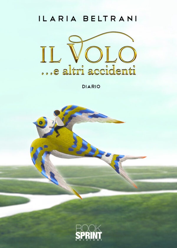 Libro volo… e altri accidenti di Ilaria Beltrani - ean 9788824951715 - BooksprintEdizioni