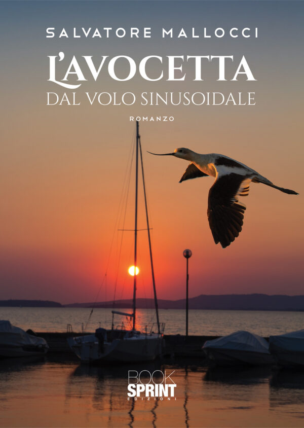 Libro avocetta dal volo sinusoidale di Salvatore Mallocci - ean 9788824952705 - BooksprintEdizioni