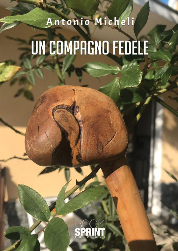Libro compagno fedele di Antonio Micheli - ean 9788824953436 - BooksprintEdizioni