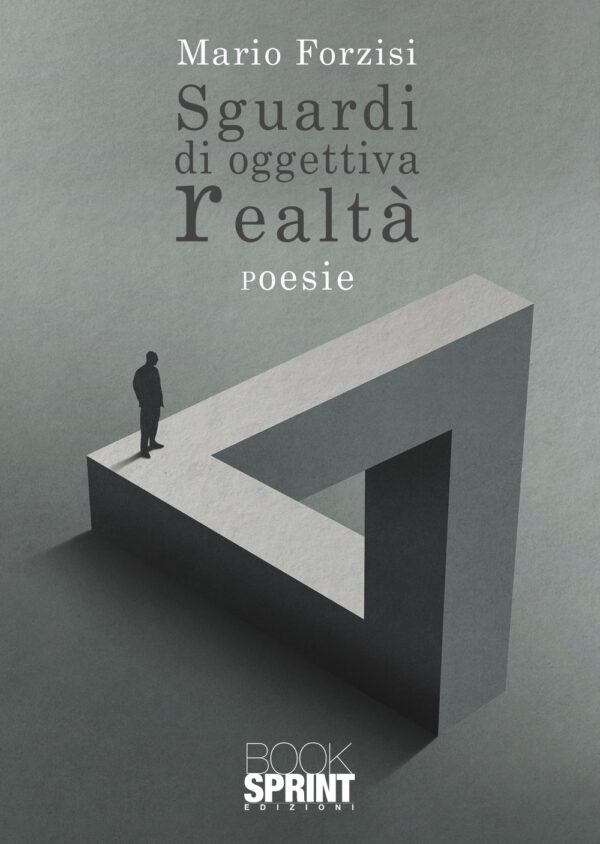 Libro Sguardi di oggettiva realtà di Mario Forzisi - ean 9788824955805 - BooksprintEdizioni
