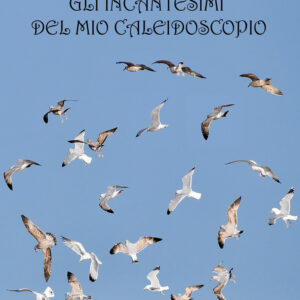 Libro incantesimi del mio caleidoscopio di Dory Terraneo - ean 9788824957922 - BooksprintEdizioni