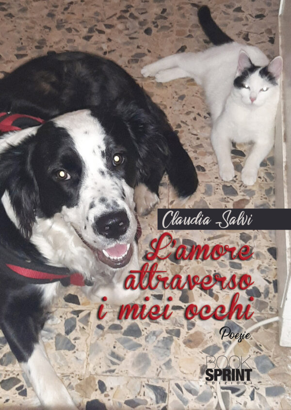 Libro amore attraverso i miei occhi di Claudia Salvi - ean 9788824958172 - BooksprintEdizioni