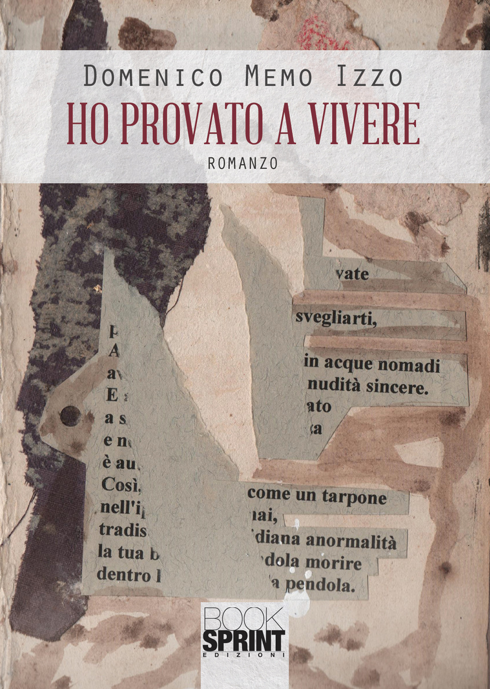 Libro Ho provato a vivere di Domenico Memo Izzo - ean 9788824959049 - BooksprintEdizioni