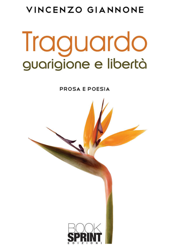Libro Traguardo guarigione e libertà di Vincenzo Giannone - ean 9788824960595 - BooksprintEdizioni