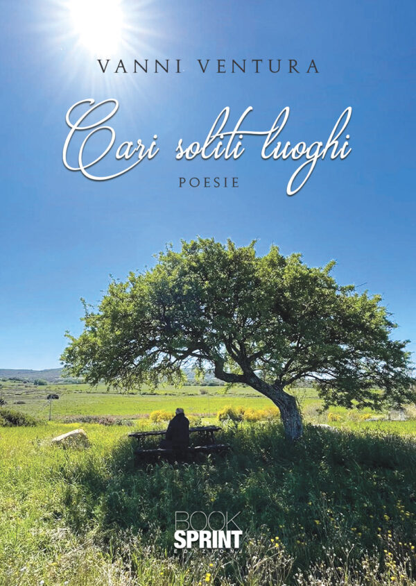 Libro Cari soliti luoghi di Vanni Ventura - ean 9788824960779 - BooksprintEdizioni