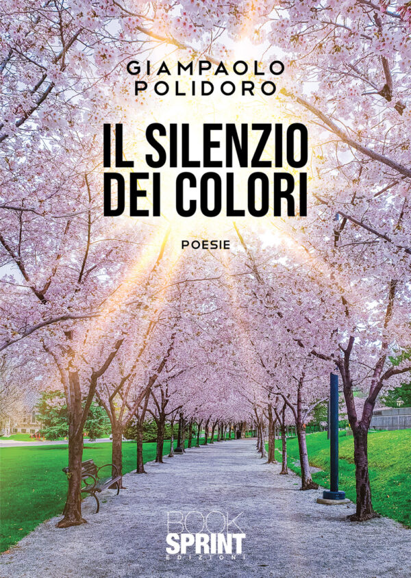 Libro silenzio dei colori di Giampaolo Polidoro - ean 9788824962377 - BooksprintEdizioni