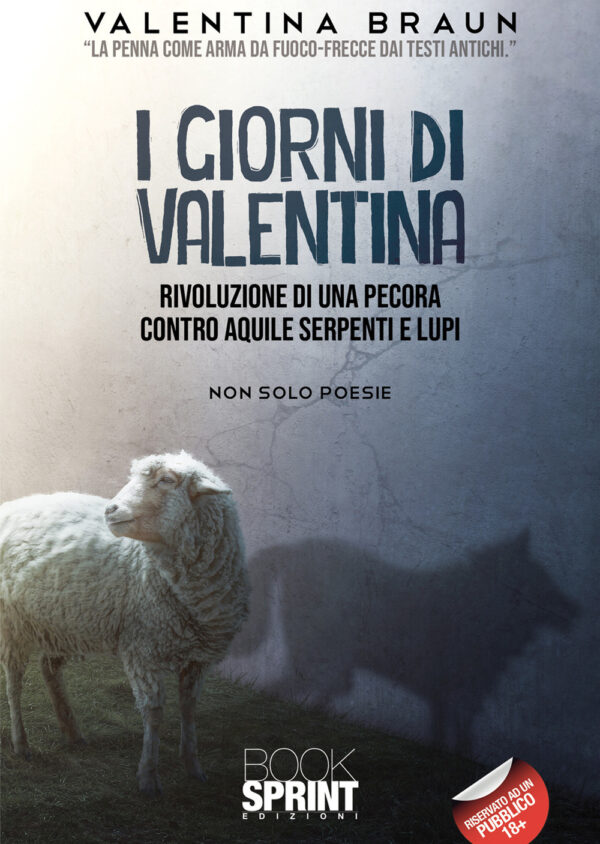 Libro giorni di Valentina di Valentina Braun - ean 9788824965996 - BooksprintEdizioni