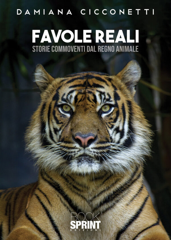 Libro Favole reali. Storie commoventi dal regno animale di Damiana Cicconetti - ean 9788824969291 - BooksprintEdizioni