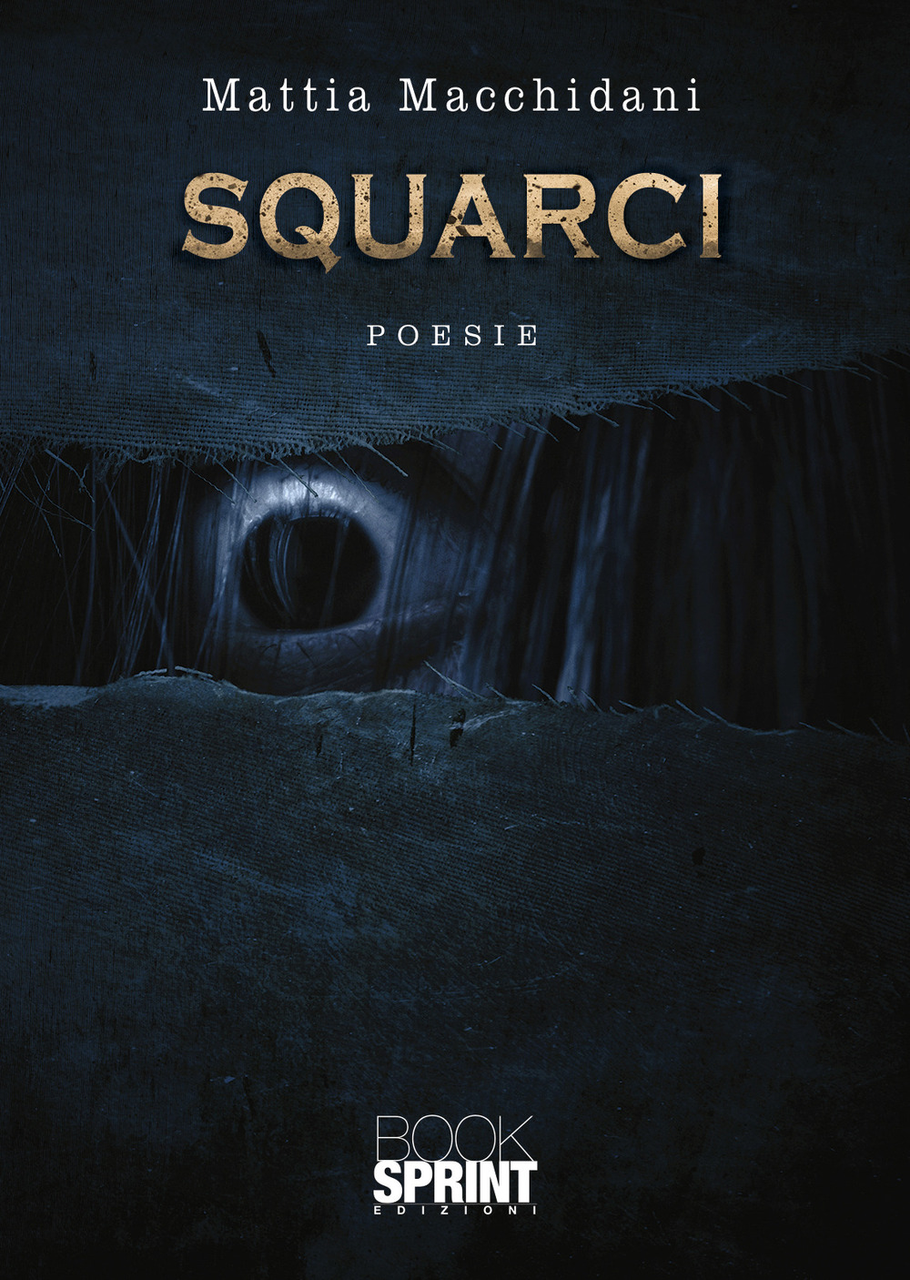 Libro Squarci di Mattia Macchidani - ean 9788824969345 - BooksprintEdizioni