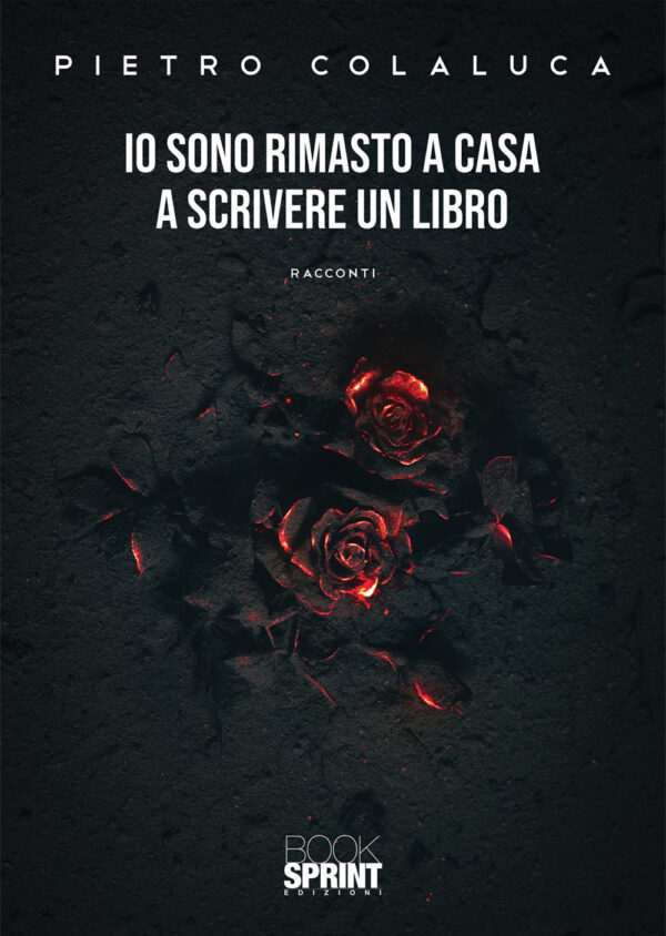 Libro Io sono rimasto a casa a scrivere un libro di Pietro Colaluca - ean 9788824970204 - BooksprintEdizioni
