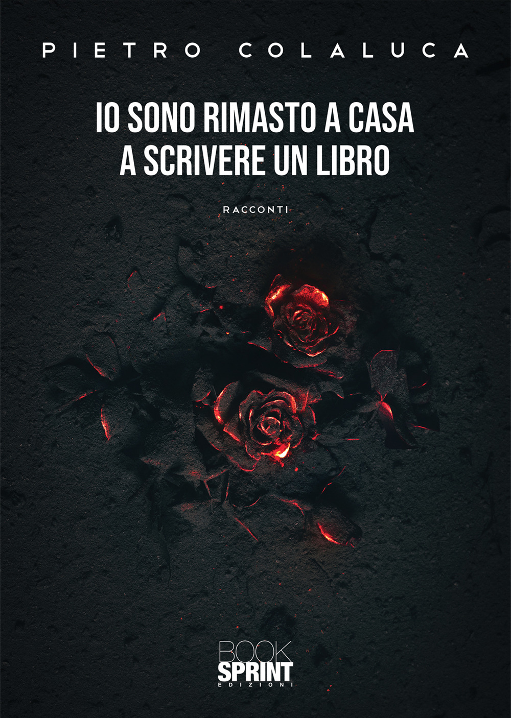 Libro Io sono rimasto a casa a scrivere un libro di Pietro Colaluca - ean 9788824970204 - BooksprintEdizioni