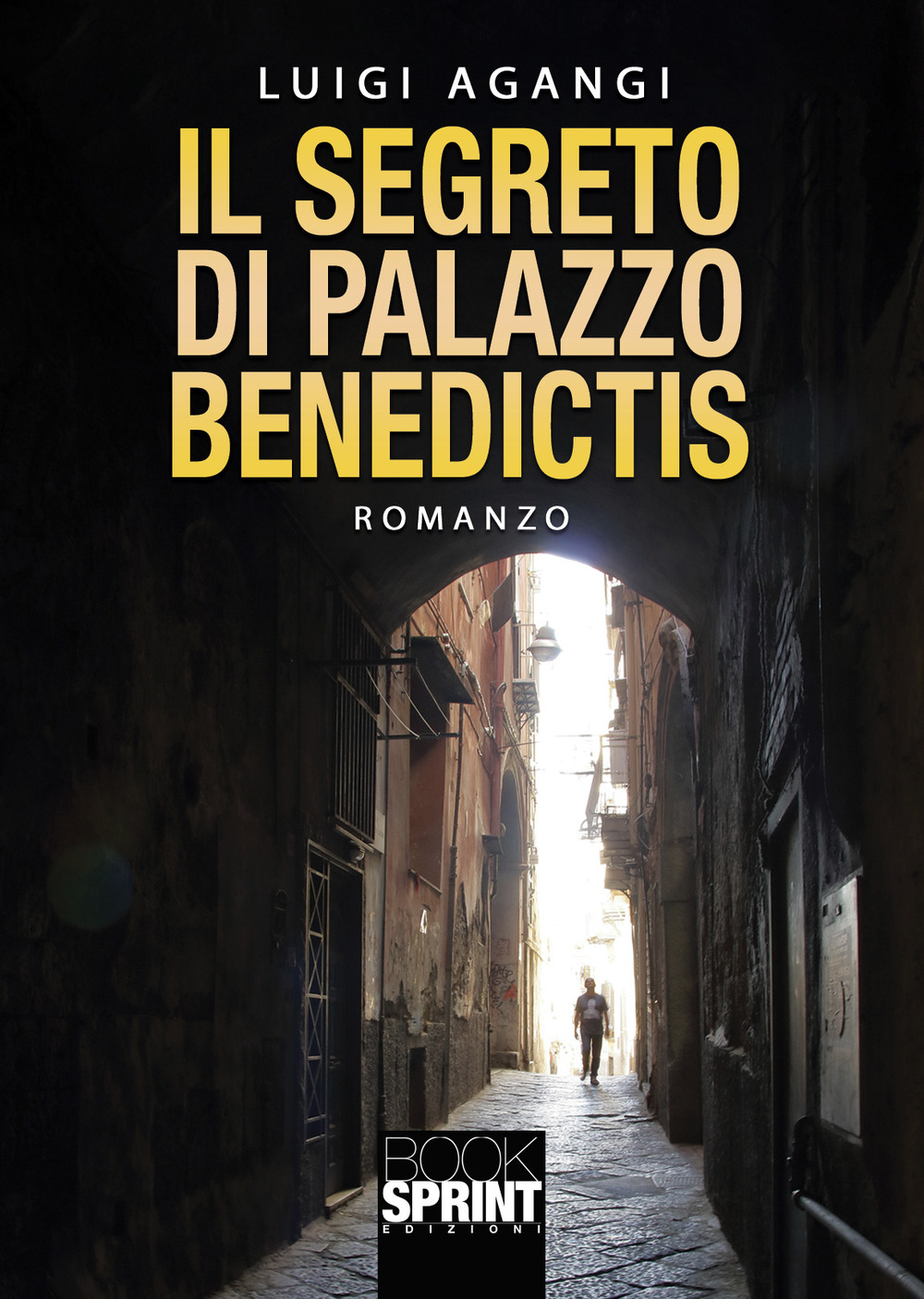 Libro segreto di palazzo Benedictis di Luigi Agangi - ean 9788824970358 - BooksprintEdizioni