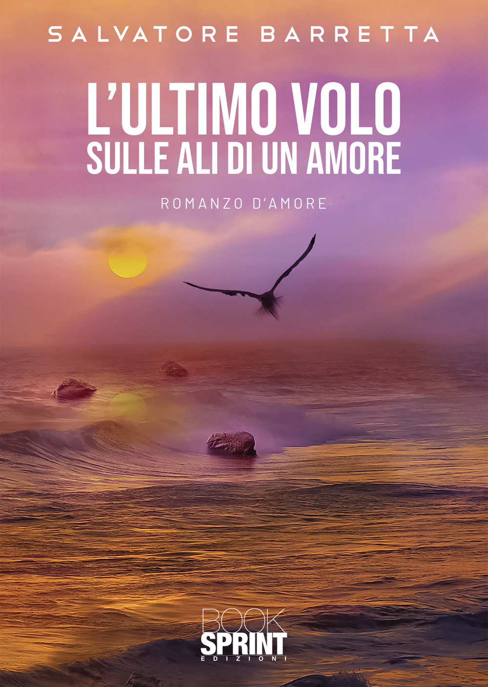 Libro ultimo volo. Sulle ali di un amore di Salvatore Barretta - ean 9788824970747 - BooksprintEdizioni