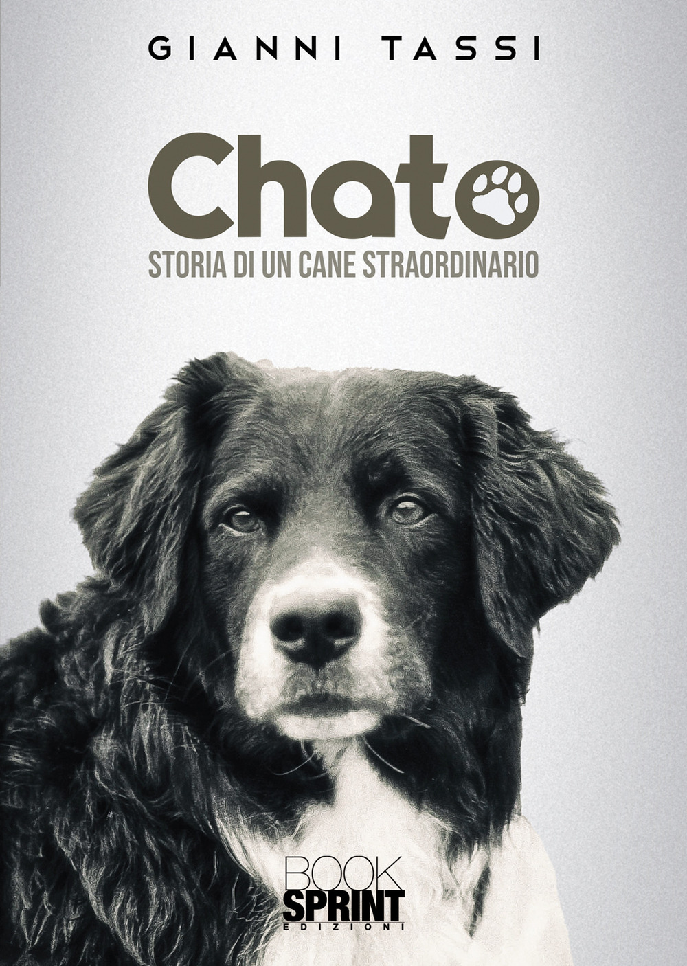 Libro Chato. Storia di un cane straordinario di Gianni Tassi - ean 9788824971188 - BooksprintEdizioni