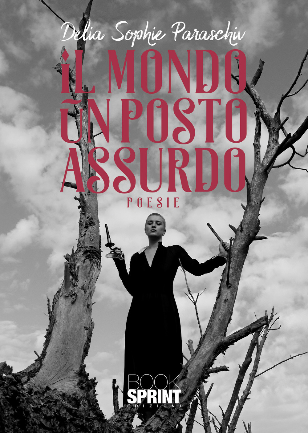 Libro mondo un posto assurdo di Delia Sophie Paraschiv - ean 9788824972871 - BooksprintEdizioni