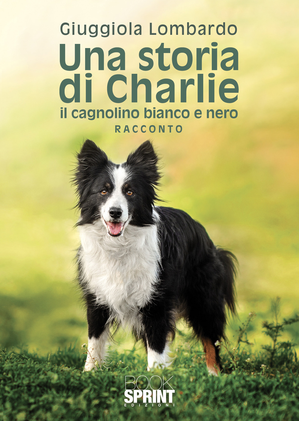Libro storia di Charlie il cagnolino bianco e nero di Giuggiola Lombardo - ean 9788824976398 - BooksprintEdizioni