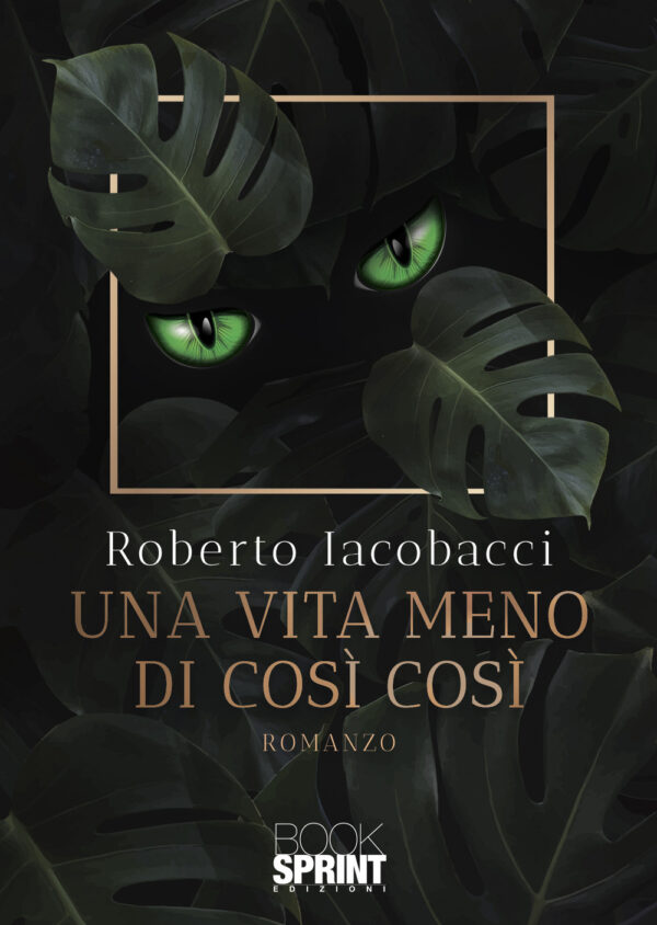 Libro vita meno di così così di Roberto Iacobacci - ean 9788824976930 - BooksprintEdizioni