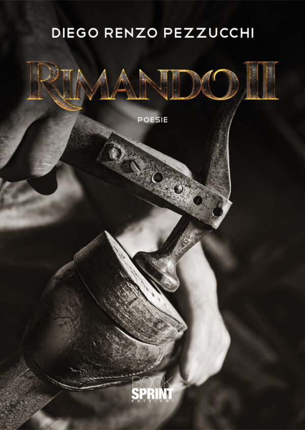 Libro Rimando II di Diego Renzo Pezzucchi - ean 9788824977357 - BooksprintEdizioni