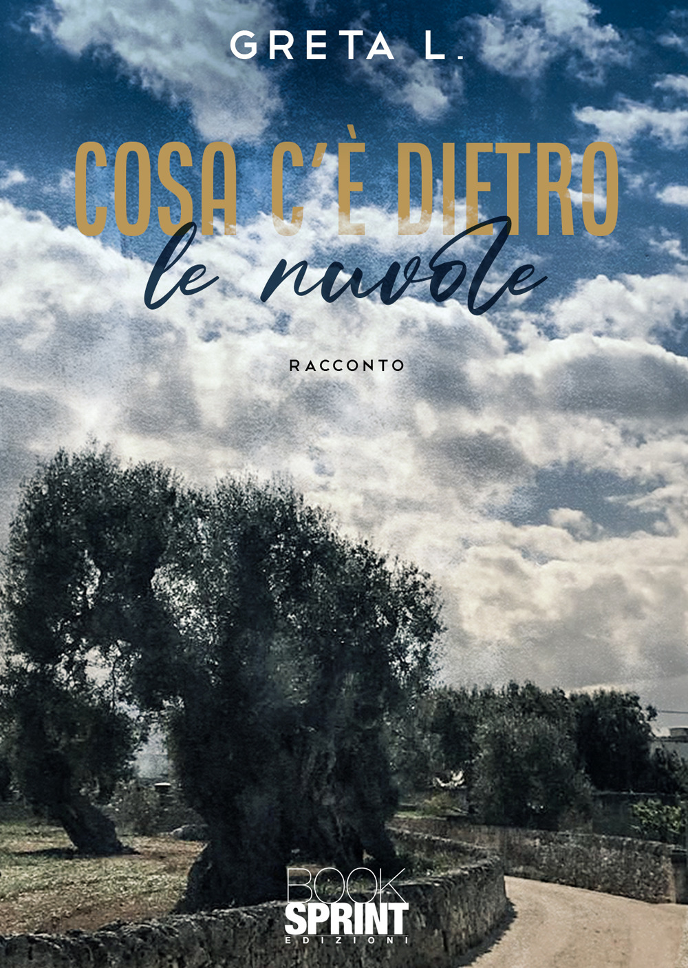 Libro Cosa c’è dietro le nuvole di Greta L. - ean 9788824978019 - BooksprintEdizioni