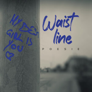 Libro Waist line di Melissa Cascino - ean 9788824978422 - BooksprintEdizioni