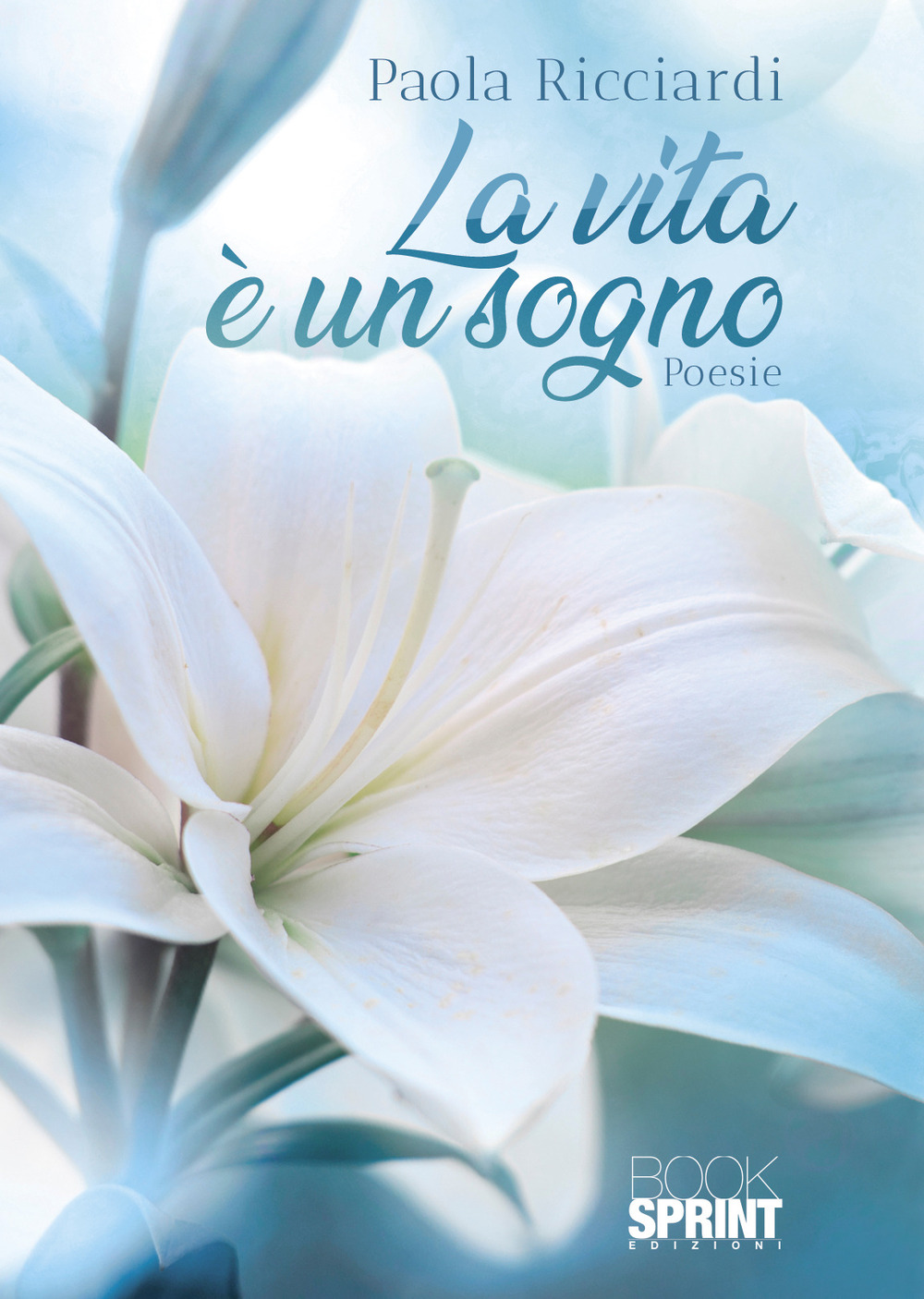 Libro vita è un sogno di Paola Ricciardi - ean 9788824978712 - BooksprintEdizioni