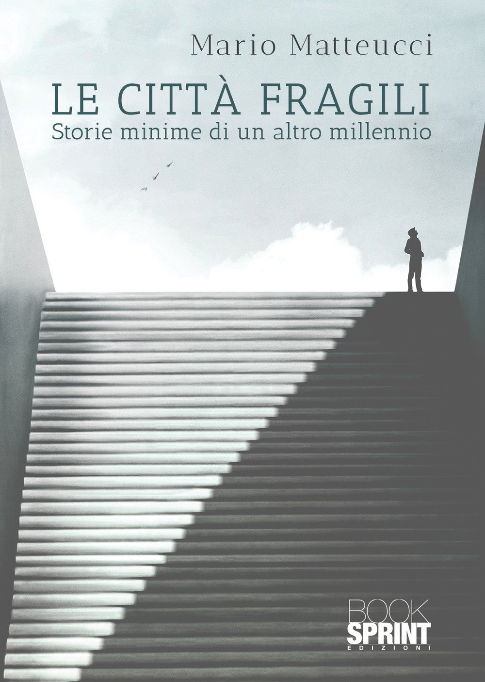 Libro città fragili di Mario Matteucci - ean 9788824978804 - BooksprintEdizioni