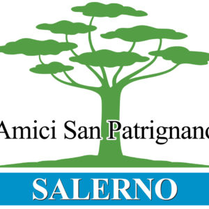 Libro Come caricare un libro online di Vito Pacelli - ean 9788824979283 - BooksprintEdizioni