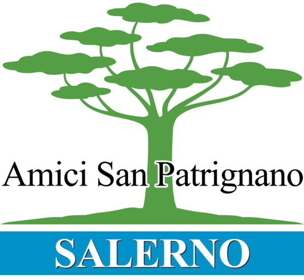 Libro Come caricare un libro online di Vito Pacelli - ean 9788824979283 - BooksprintEdizioni