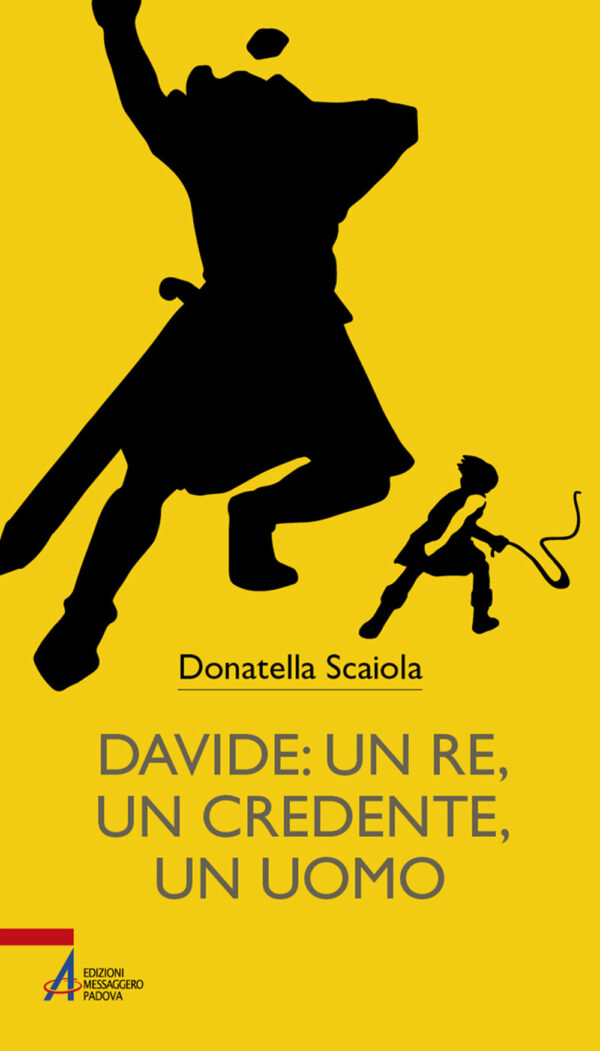 Libro Davide: un re