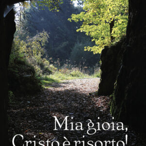 Libro Mia gioia