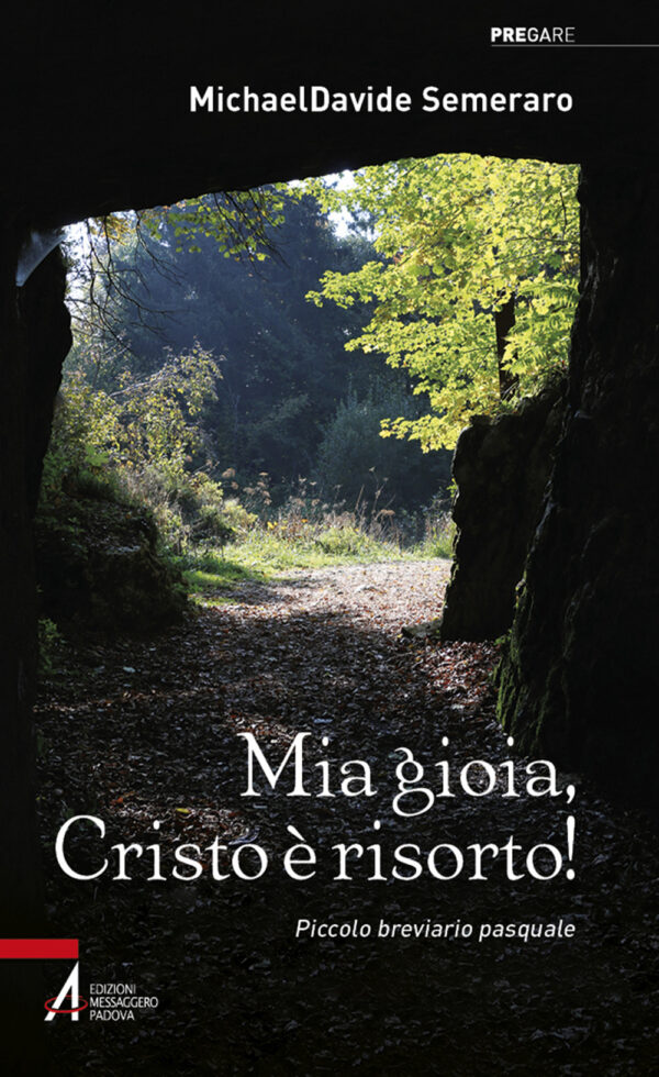 Libro Mia gioia