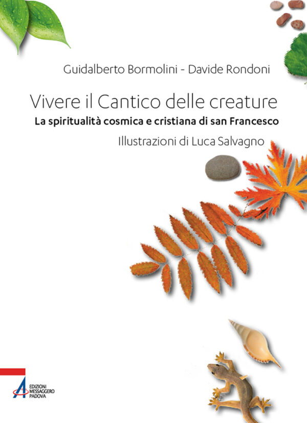 Libro Vivere il Cantico delle creature. La spiritualità cosmica e cristiana di san Francesco di Guidalberto Bormolini; Davide Rondoni - ean 9788825055641 - EMP - Edizioni Messaggero Padova