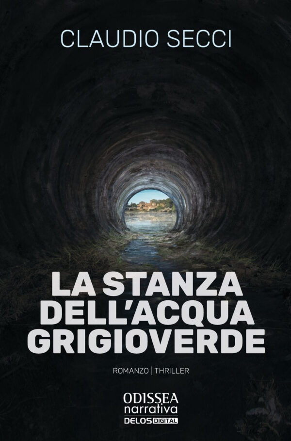 Libro stanza dell’acqua grigioverde di Claudio Secci - ean 9788825425376 - Delos Digital