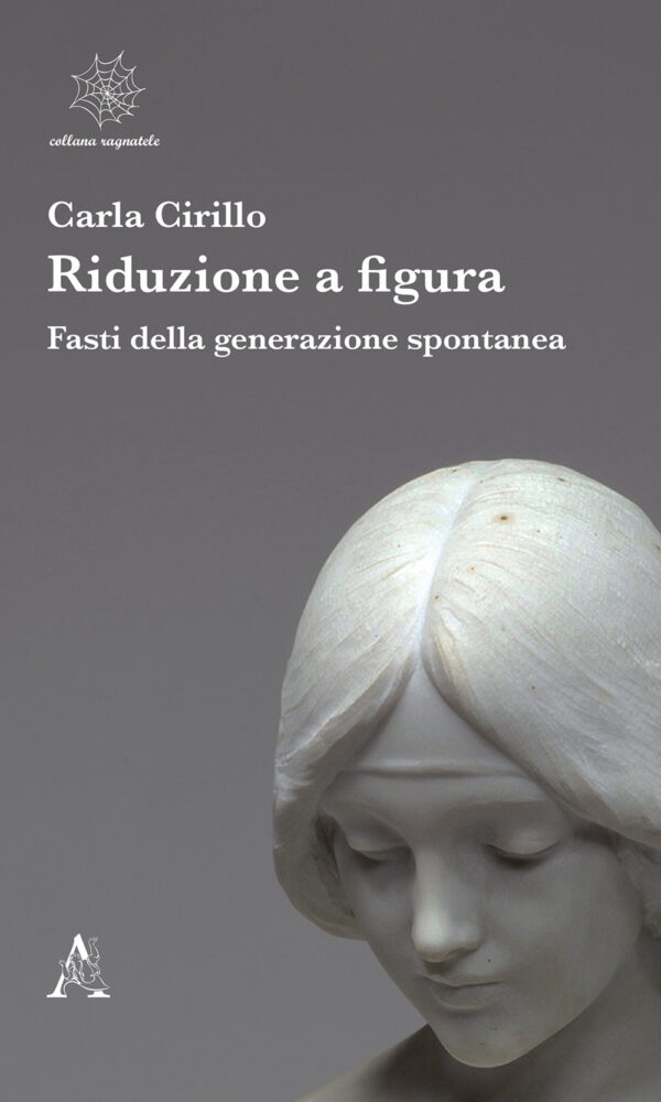 Libro Riduzione a figura. Fasti della generazione spontanea di Carla Cirillo - ean 9788825526769 - Aracne
