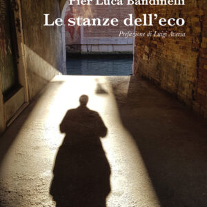 Libro stanze dell'eco di Pier Luca Bandinelli - ean 9788825530414 - Aracne