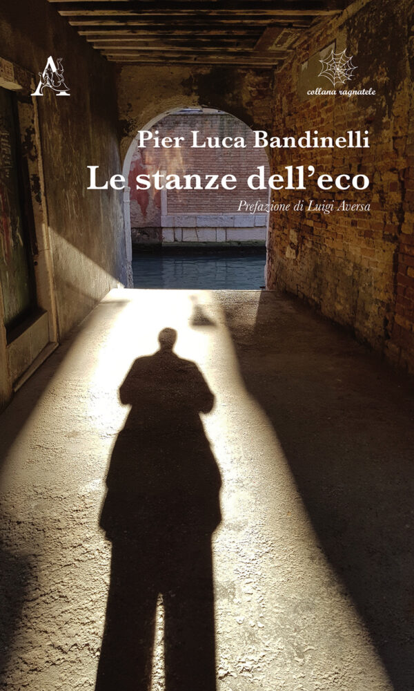 Libro stanze dell'eco di Pier Luca Bandinelli - ean 9788825530414 - Aracne