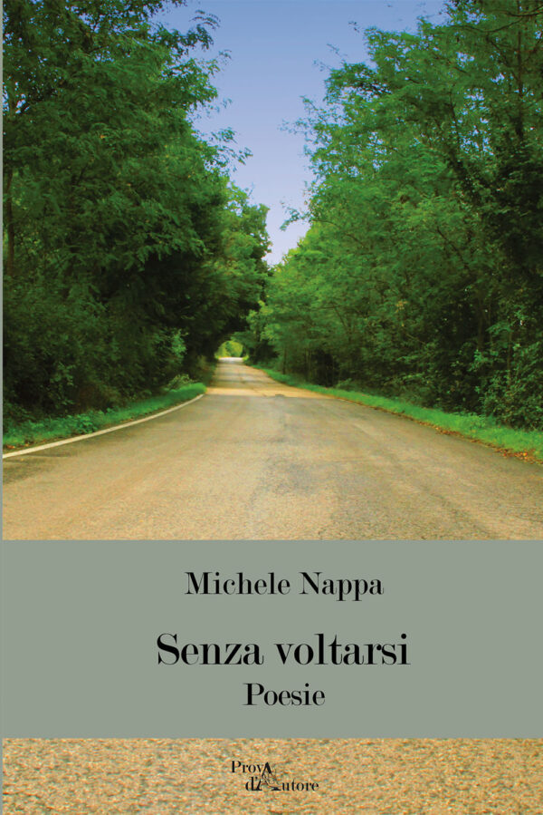 Libro Senza voltarsi di Michele Nappa - ean 9788825532548 - Aracne