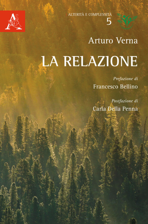 Libro relazione di Arturo Verna - ean 9788825532579 - Aracne
