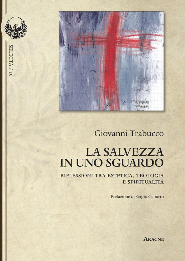 Libro salvezza in uno sguardo. Riflessioni tra estetica