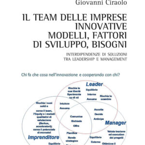 Libro team delle imprese innovative. Modelli