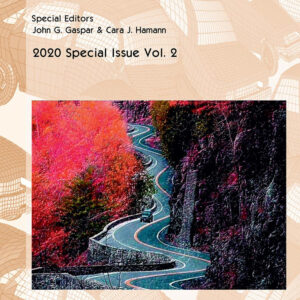 Libro Advances in transportation studies. Special Issue di  - ean 9788825534511 - Aracne