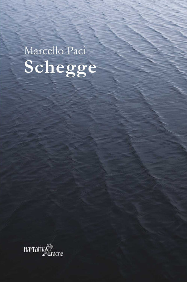 Libro Schegge di Marcello Paci - ean 9788825535709 - Aracne